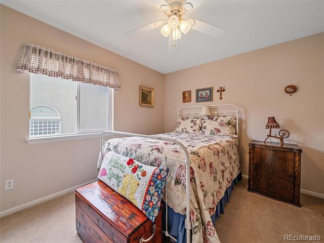 6523 Shannon Trail