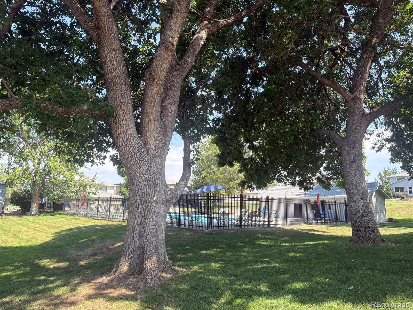 7309 W Hampden Avenue Unit: 2704