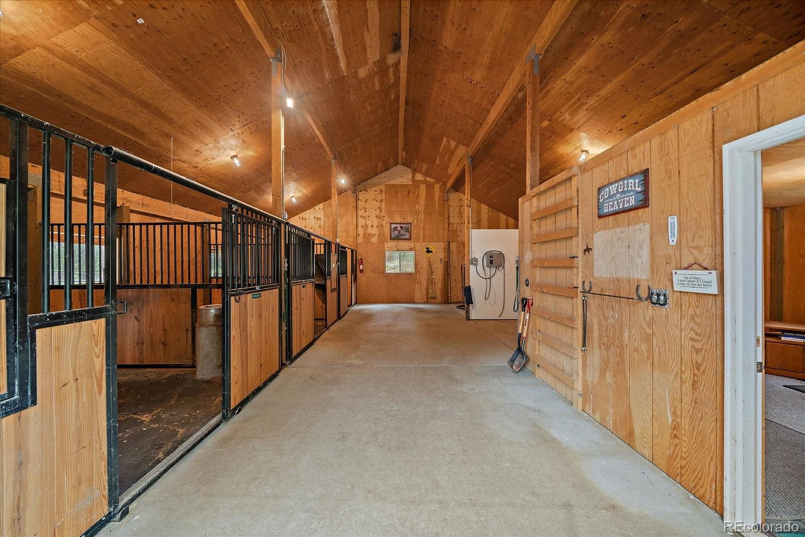 13094 Molly Drive
