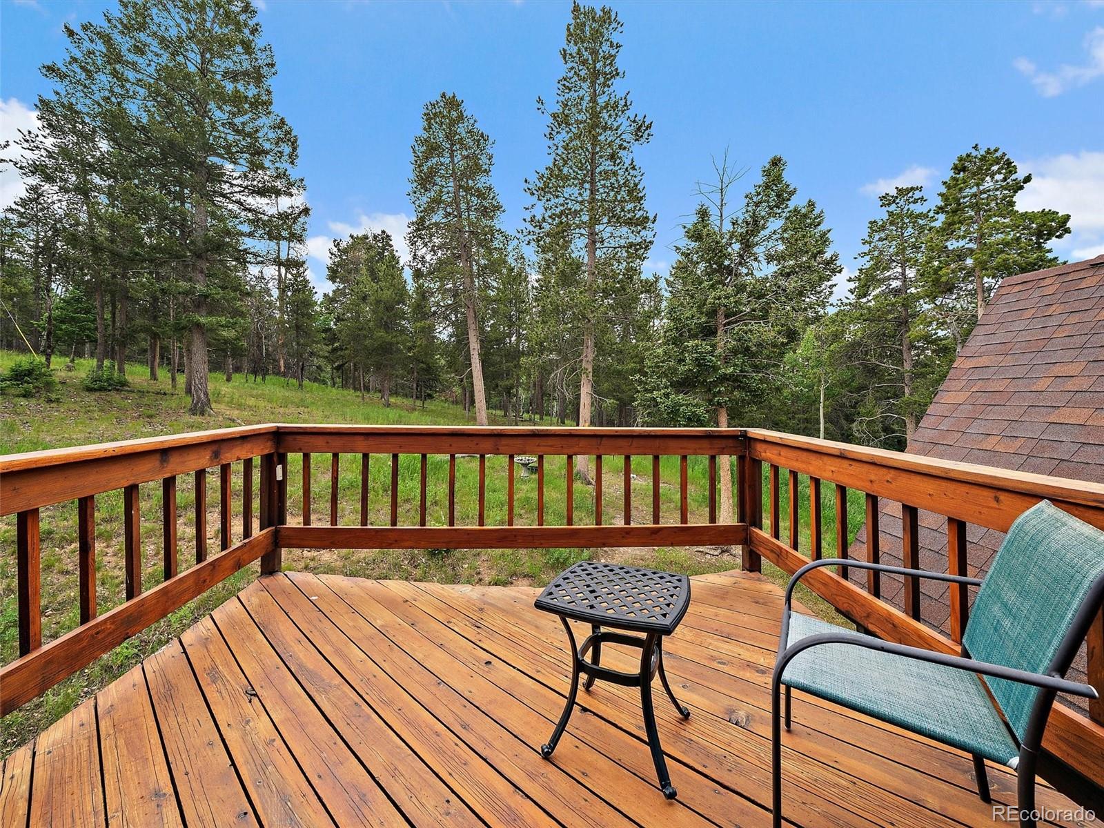 13094 Molly Drive