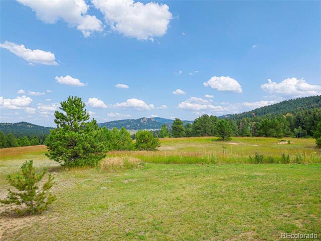 8442 Gray Fox Drive