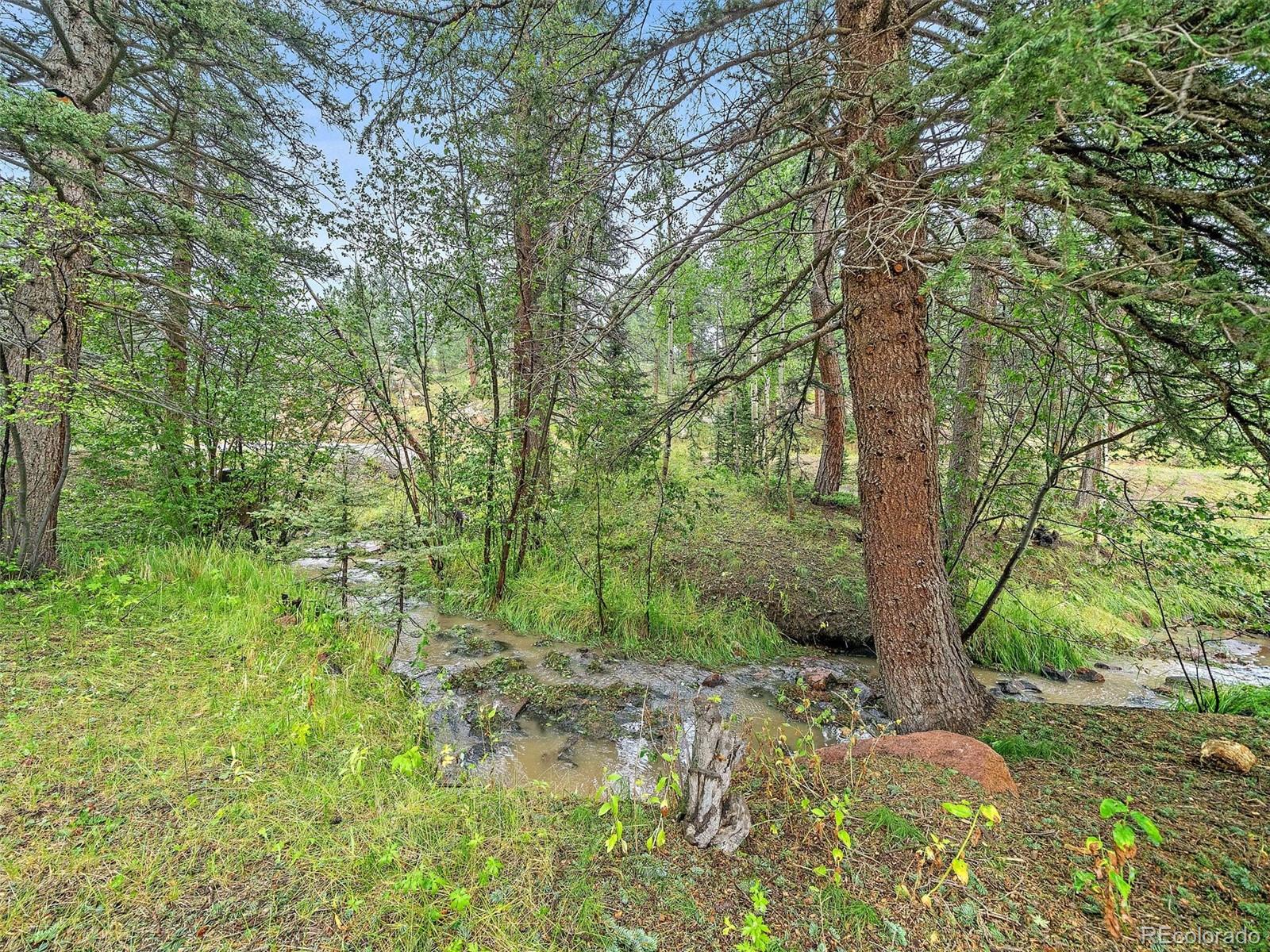 10405 Shadow Brook Drive