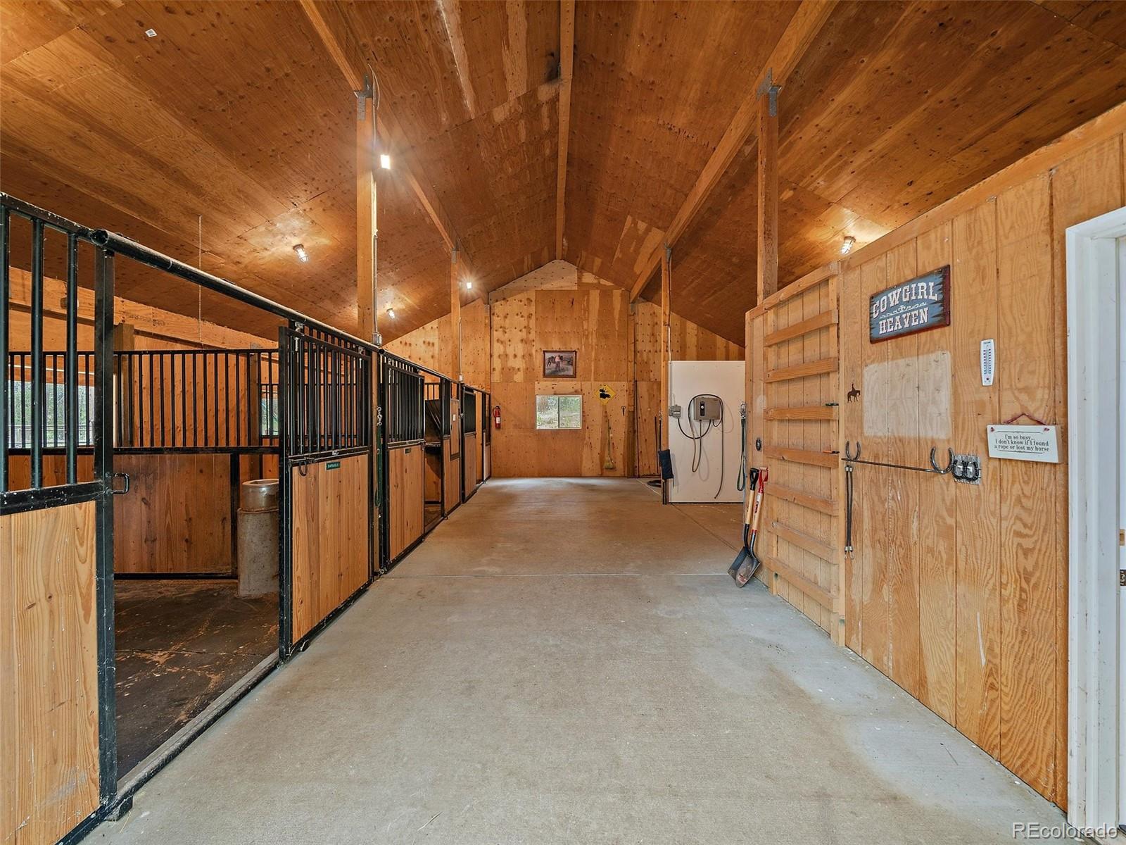 13094 Molly Drive