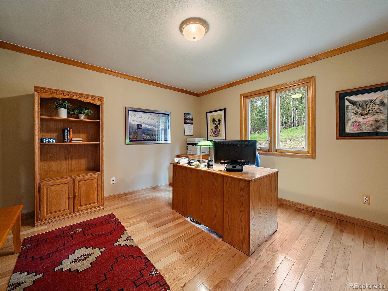 13094 Molly Drive