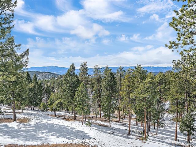 28592 Hummingbird Hill Road