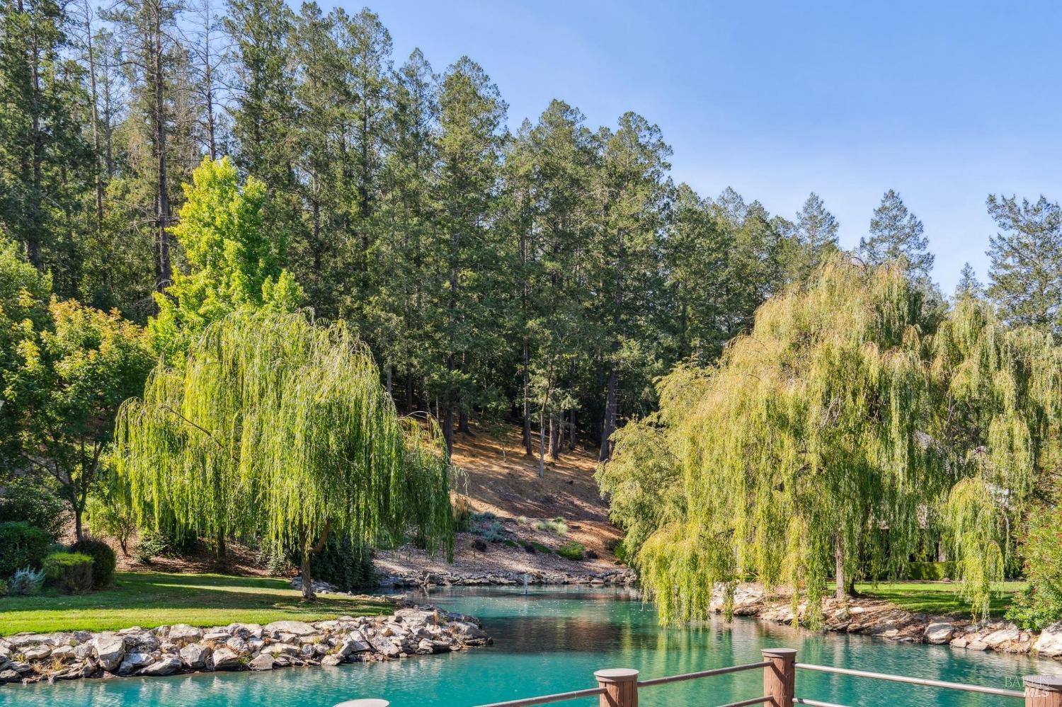 6444 Timber Springs Dr