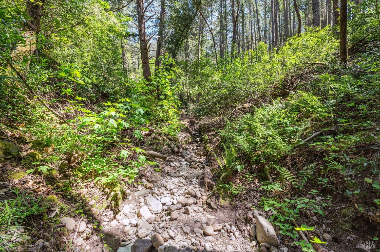 3212 Calistoga Rd