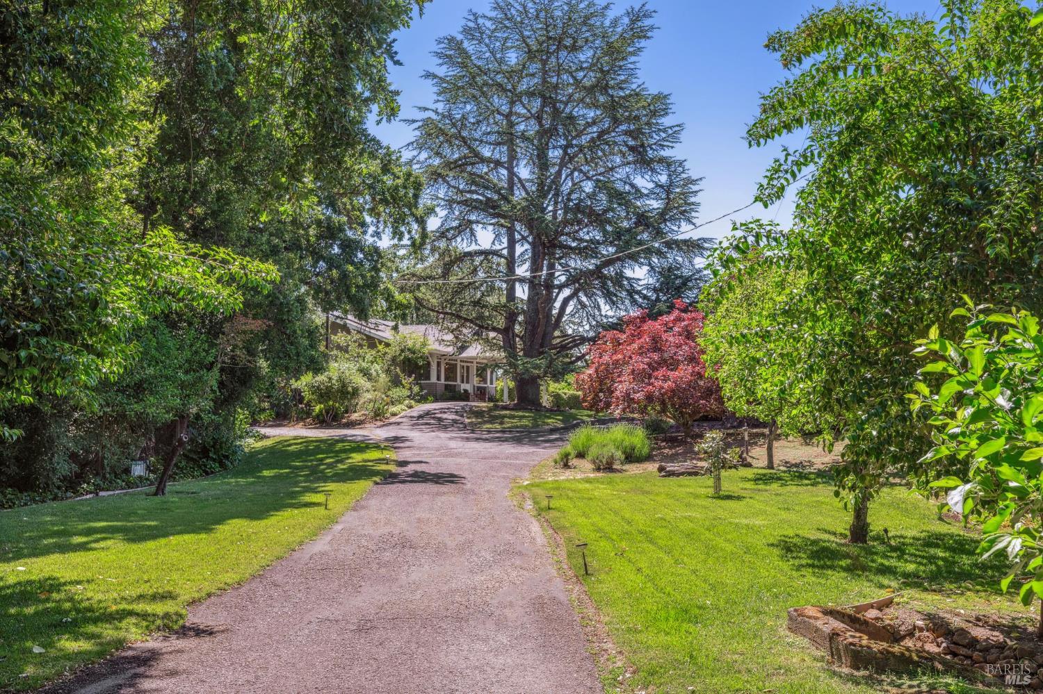 880 W Agua Caliente Rd