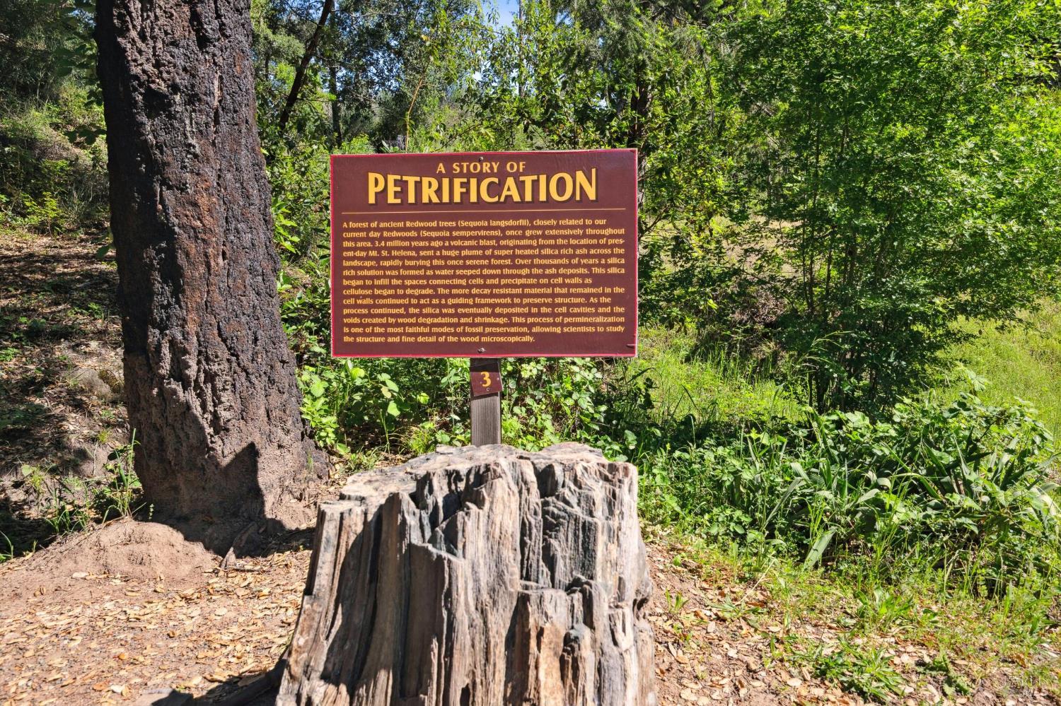 4100 Petrified Forest Rd