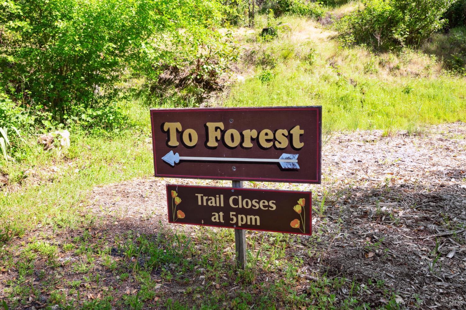 4100 Petrified Forest Road