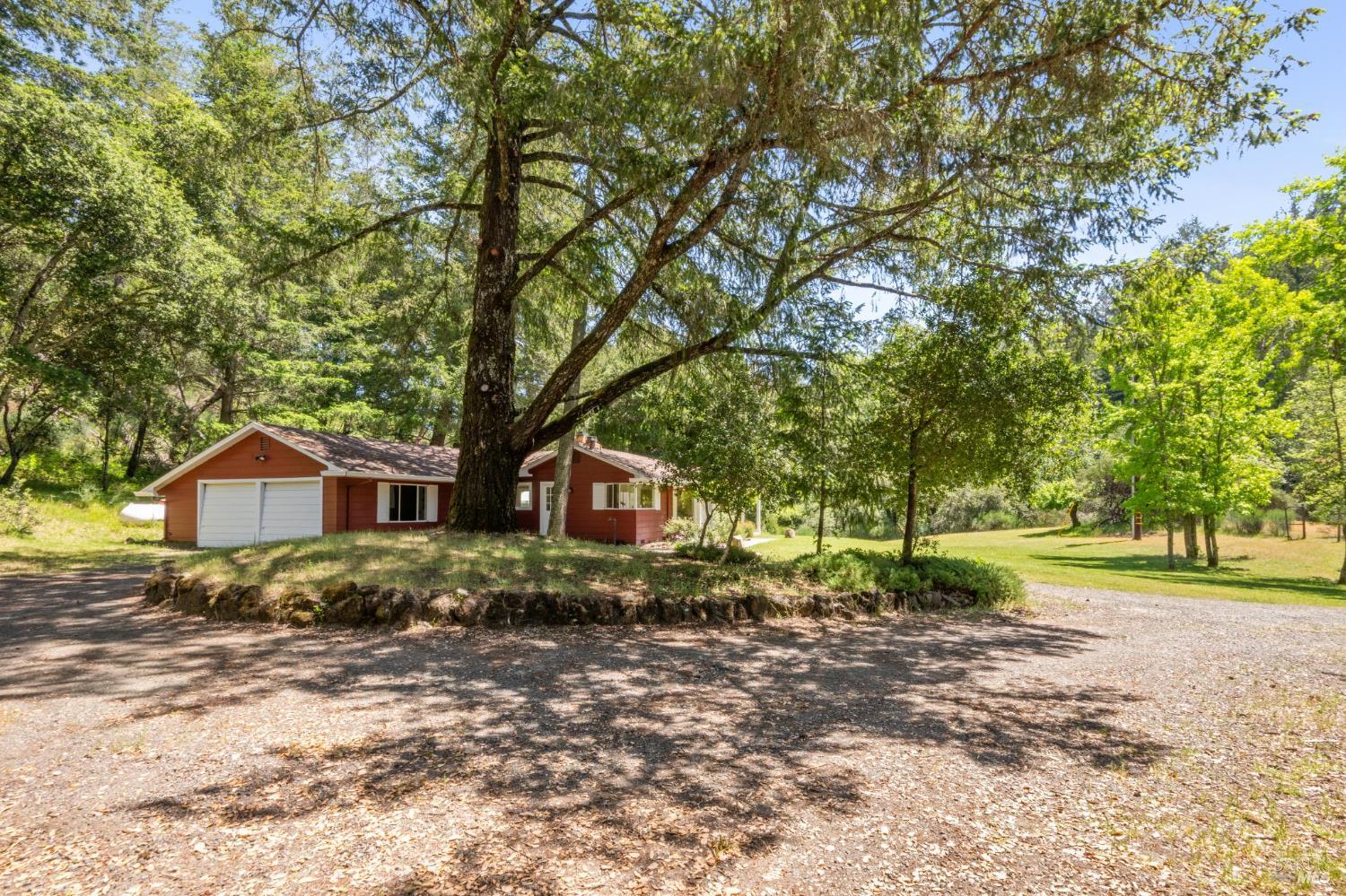 4100 Petrified Forest Road