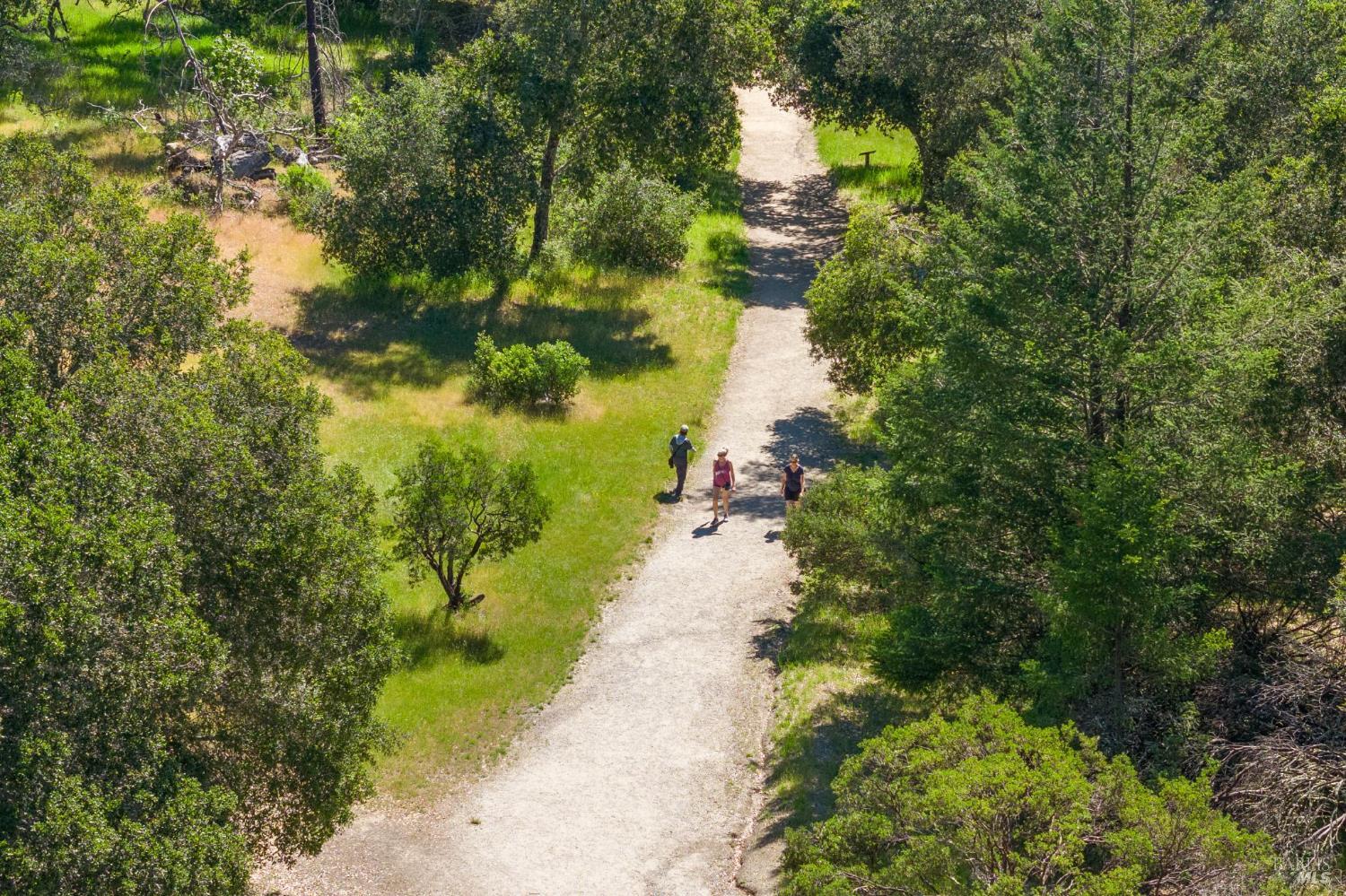 4100 Petrified Forest Road