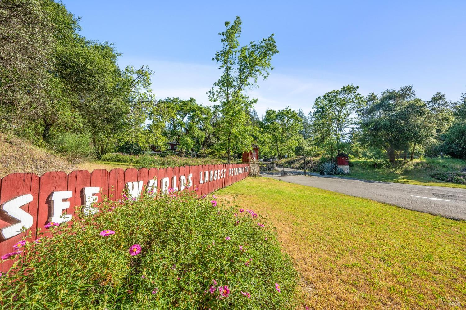 4100 Petrified Forest Road