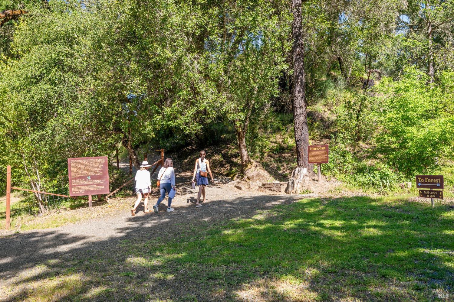4100 Petrified Forest Road