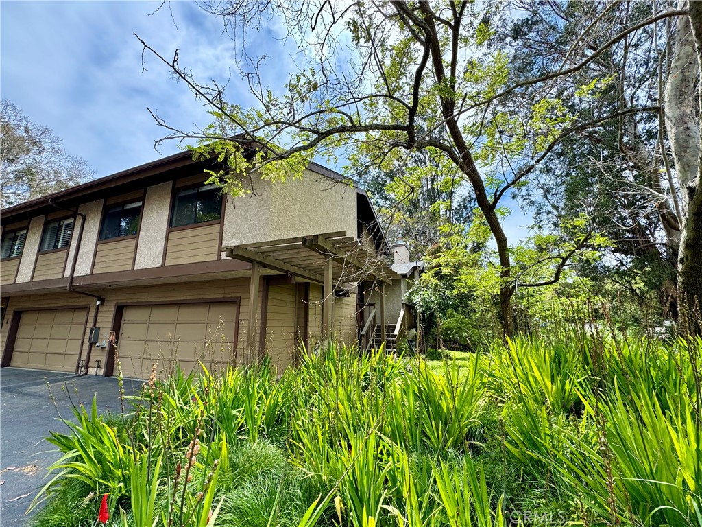 415 Dana Street 1