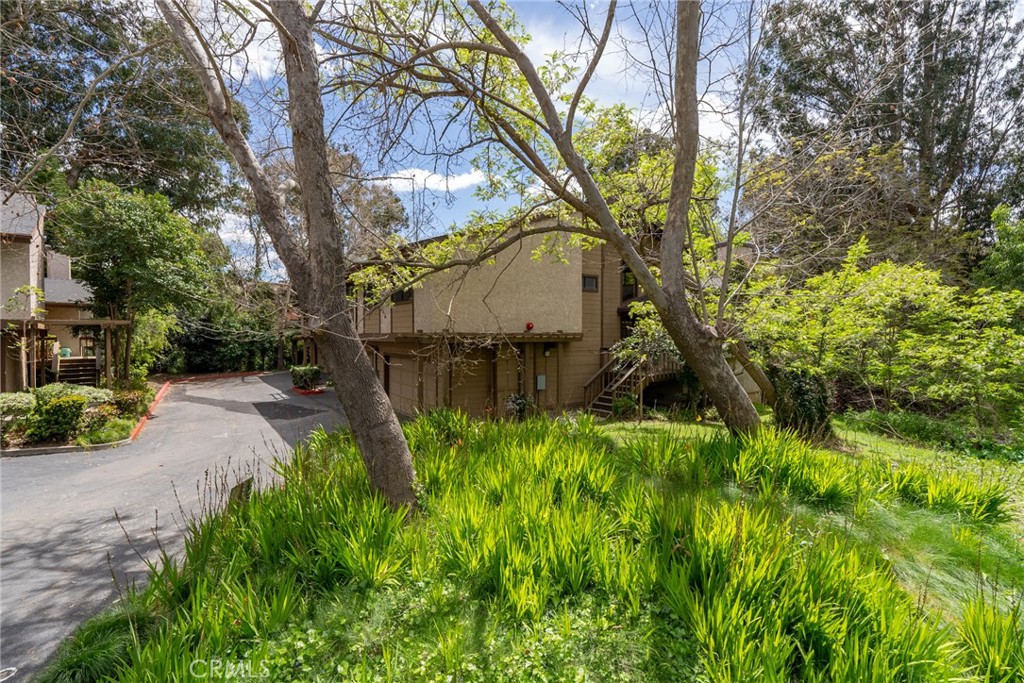 415 Dana Street 1