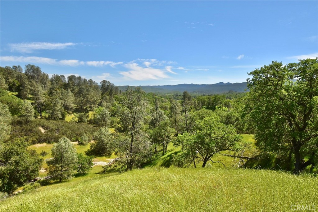 Grassy hillside overlooking wooded hills and distant mountain ridges.
