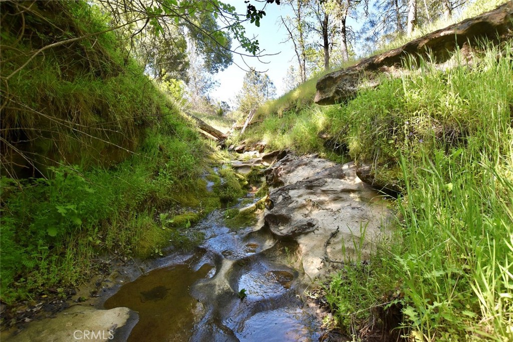 Rocky creek winding through grassy, wooded banks.