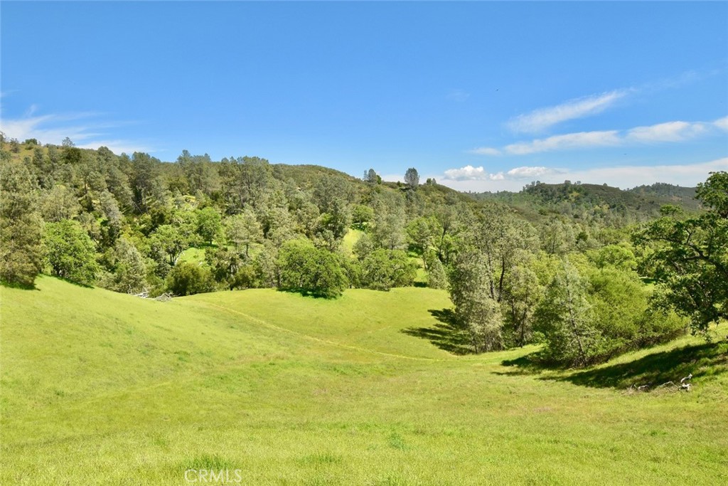 Rolling grassy acreage bordered by trees, with wooded hills under a clear blue sky.