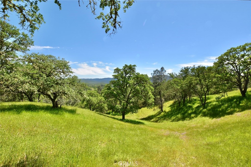 Grassy hillside with scattered oak trees and distant mountain views.