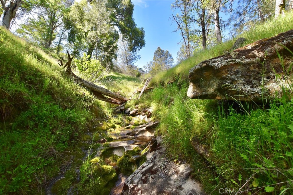 Small creek winding through a grassy, wooded hillside among large rocks.