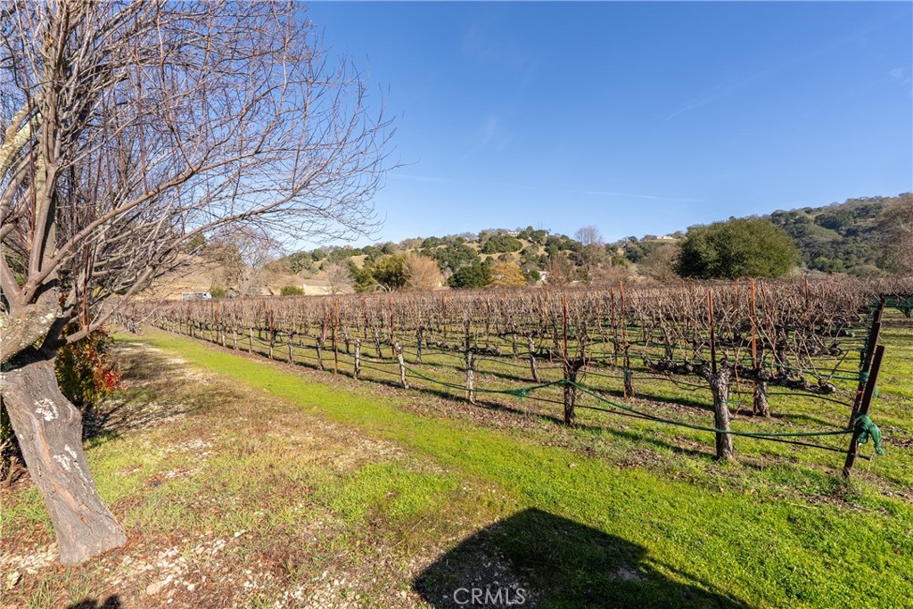 11770 Cenegal Road