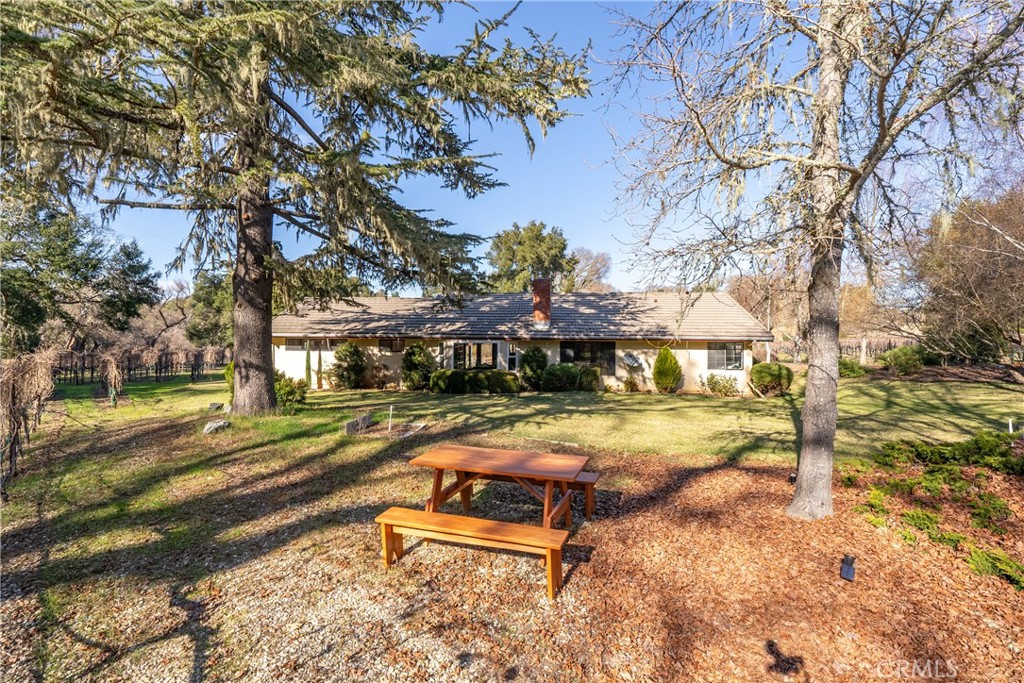 11770 Cenegal Road