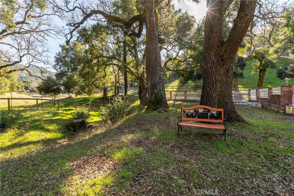 11770 Cenegal Road