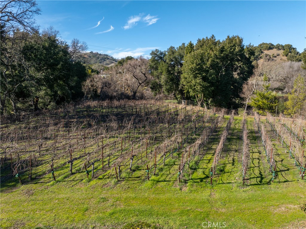 11770 Cenegal Road