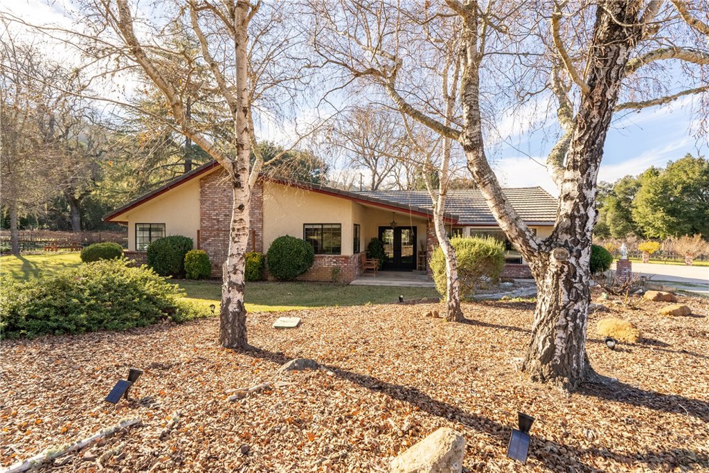 11770 Cenegal Road