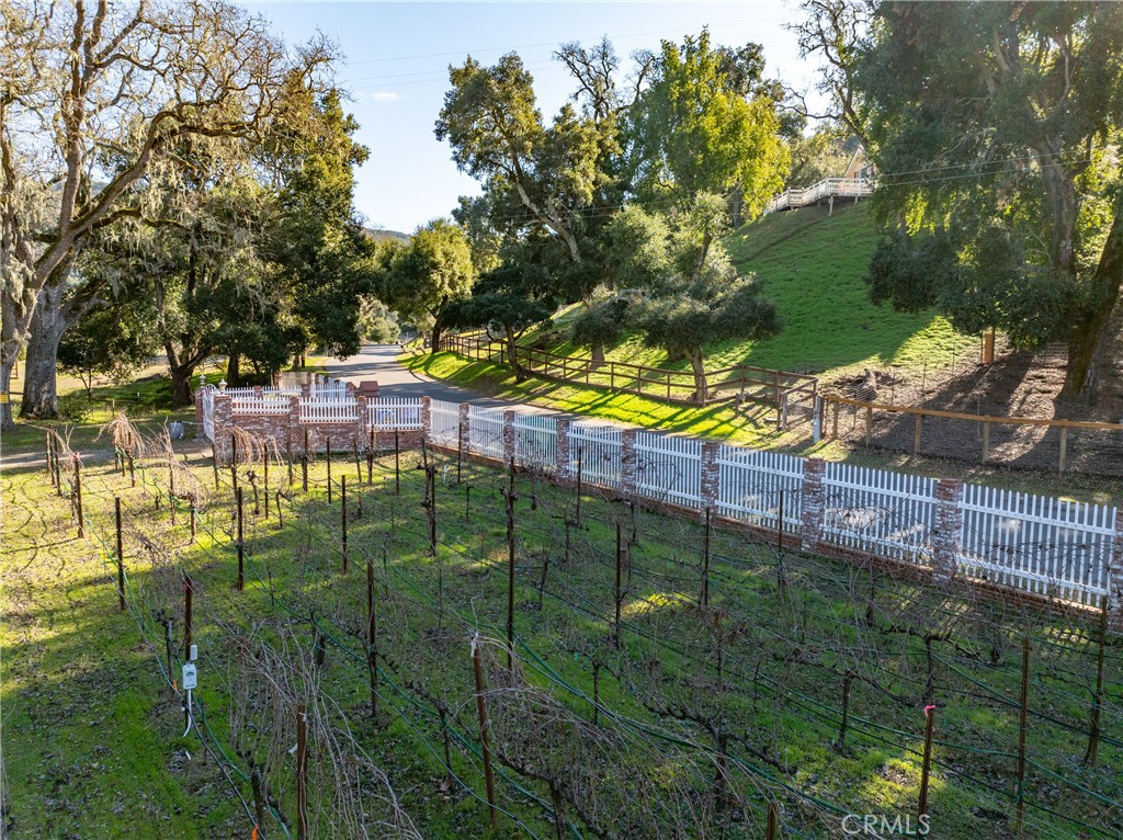 11770 Cenegal Road