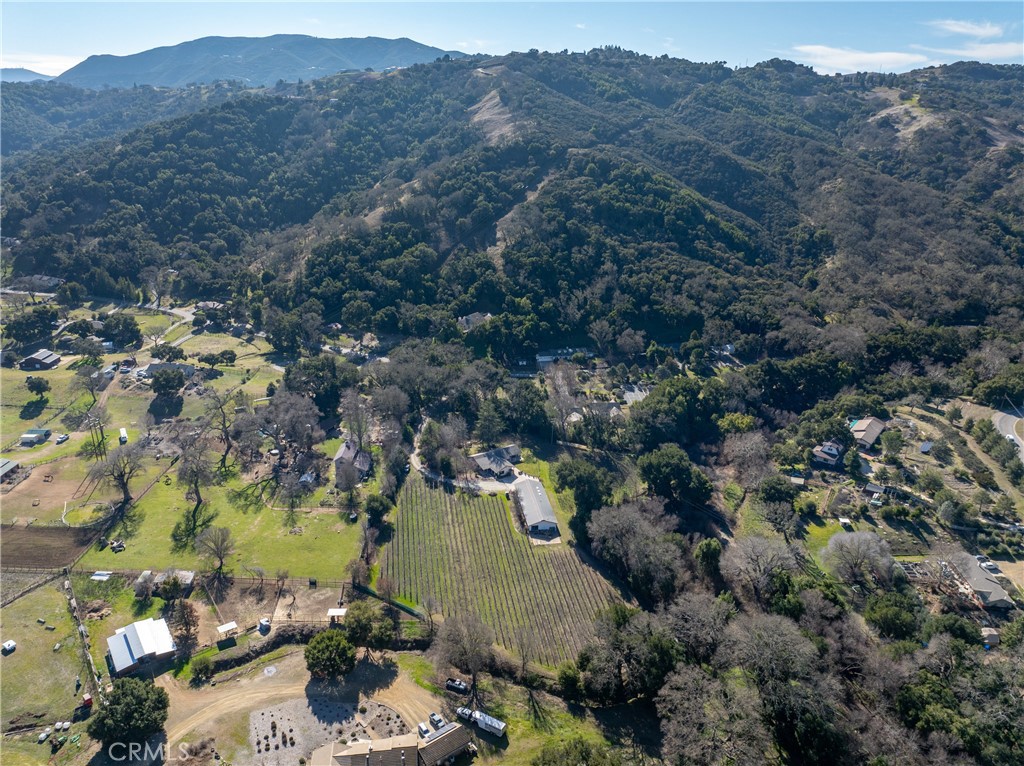 11770 Cenegal Road