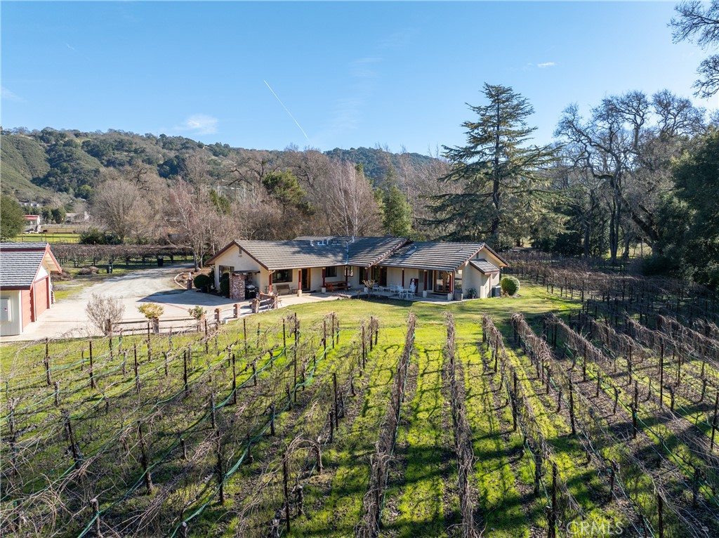 11770 Cenegal Road