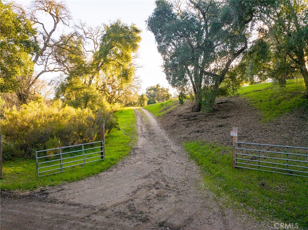 Dirt driveway climbs between open metal gates through a grassy, tree-lined property.