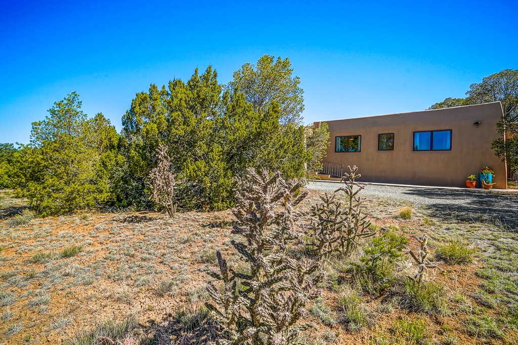 2305 Calle Halcon