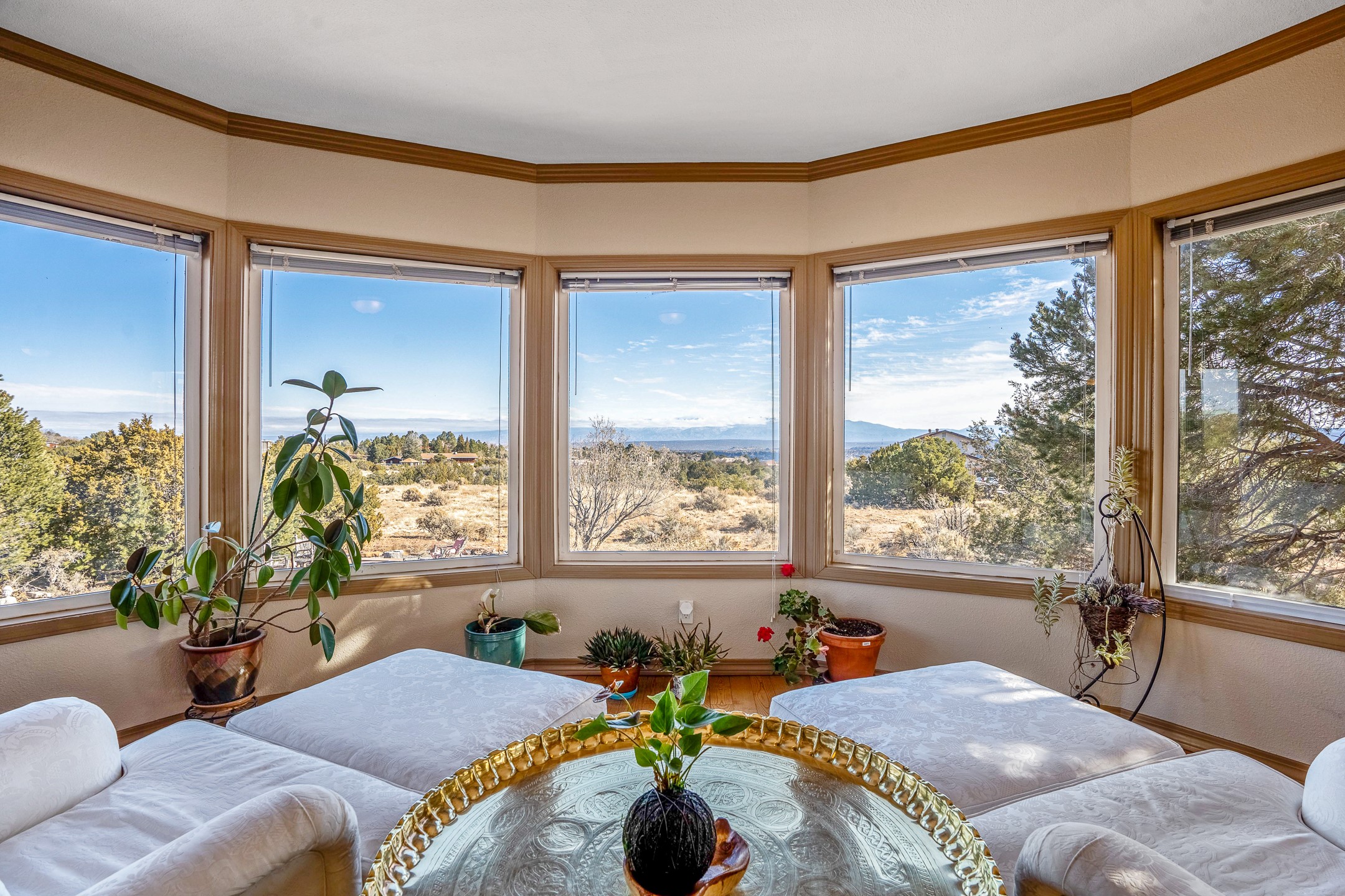 147 Piedra Loop