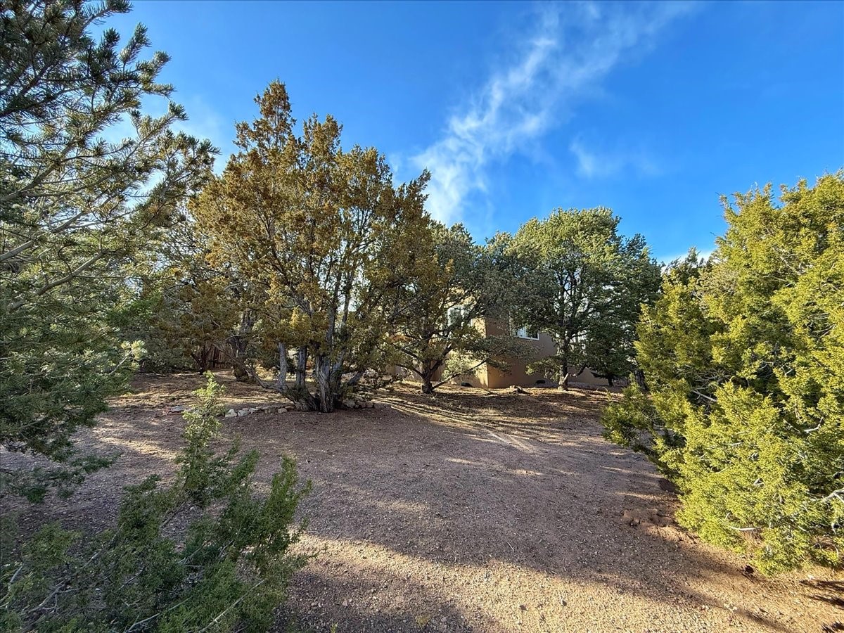 750 Camino Francisca