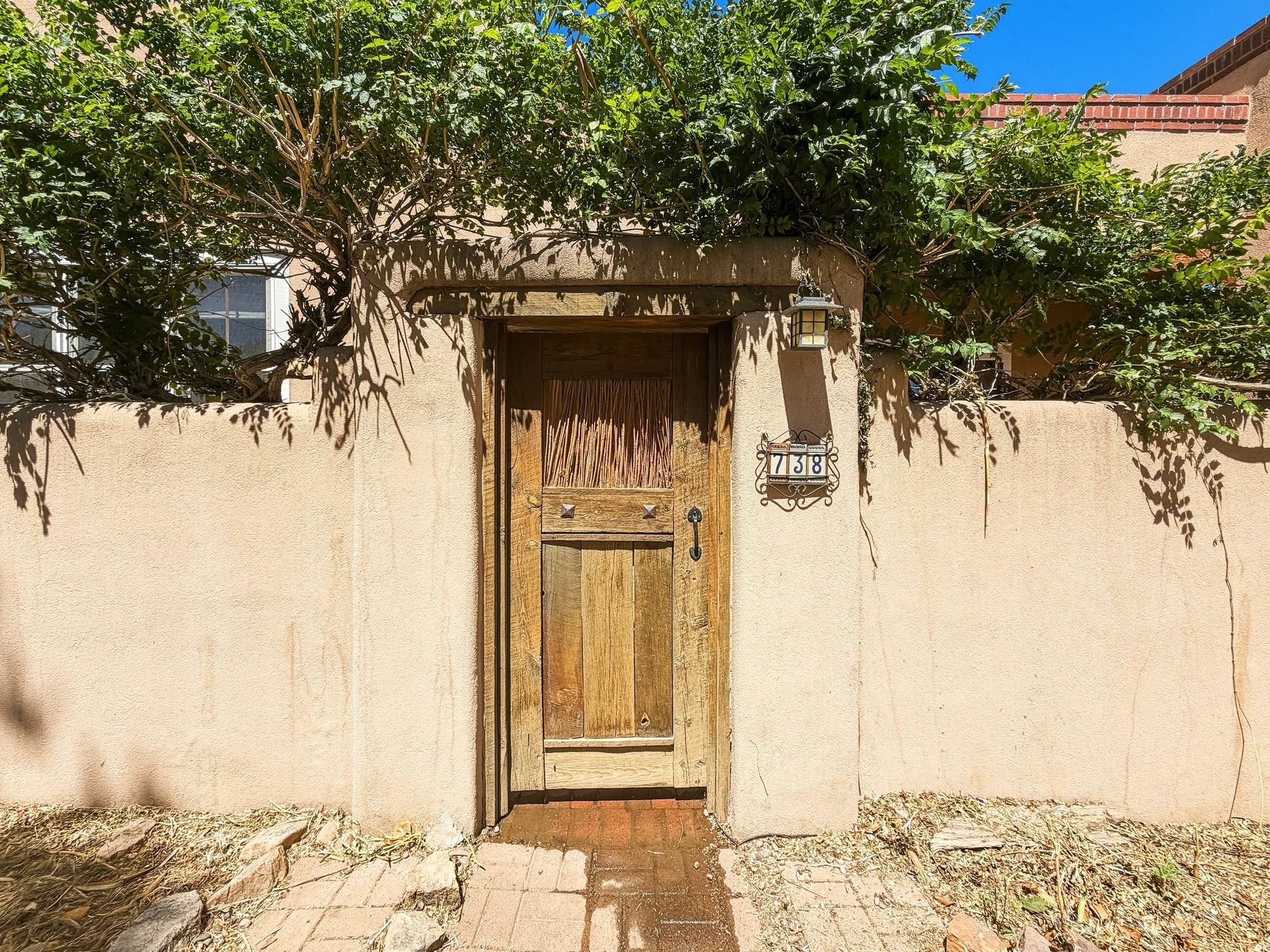 738 Gregory