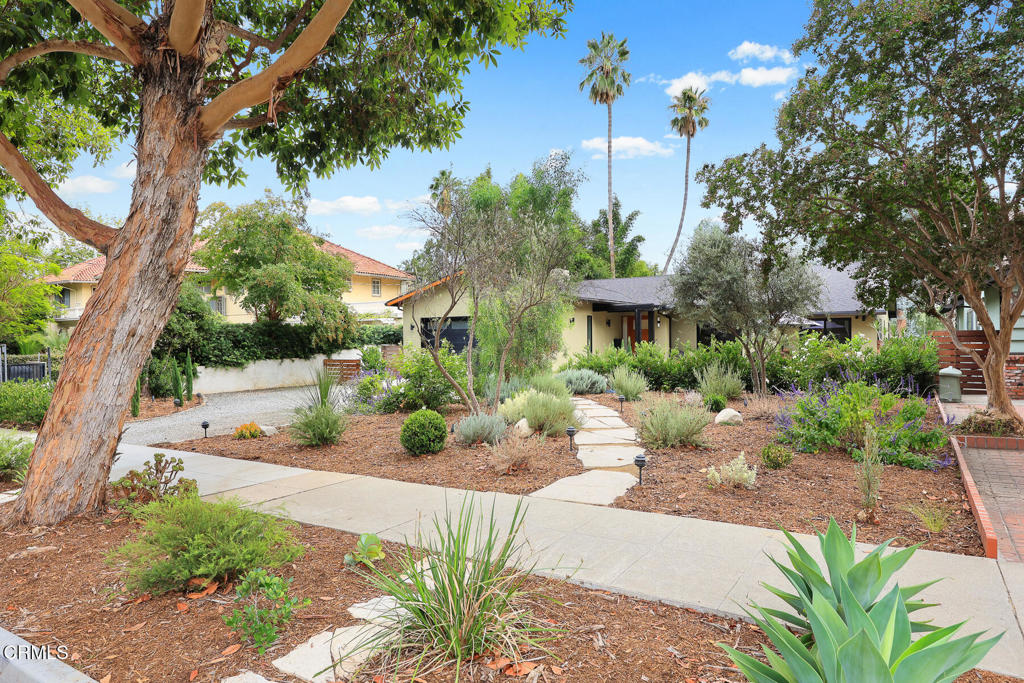 1121 Buena Vista Street