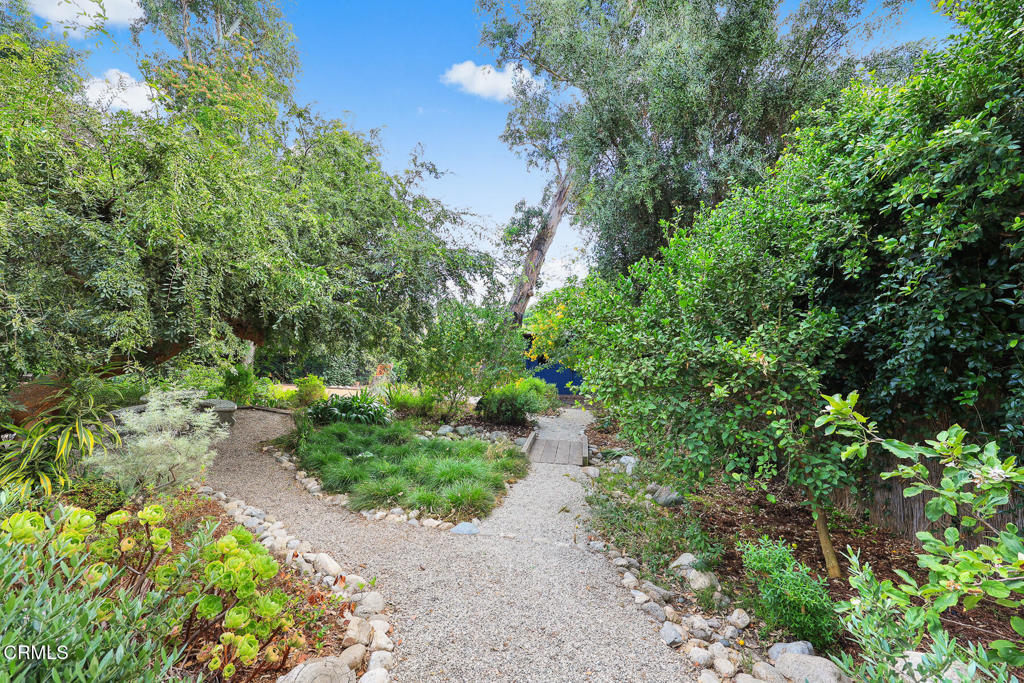 1121 Buena Vista Street