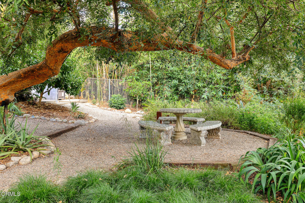 1121 Buena Vista Street