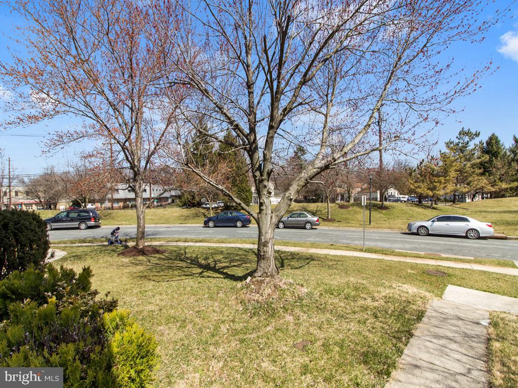 18 IVY OAK COURT
