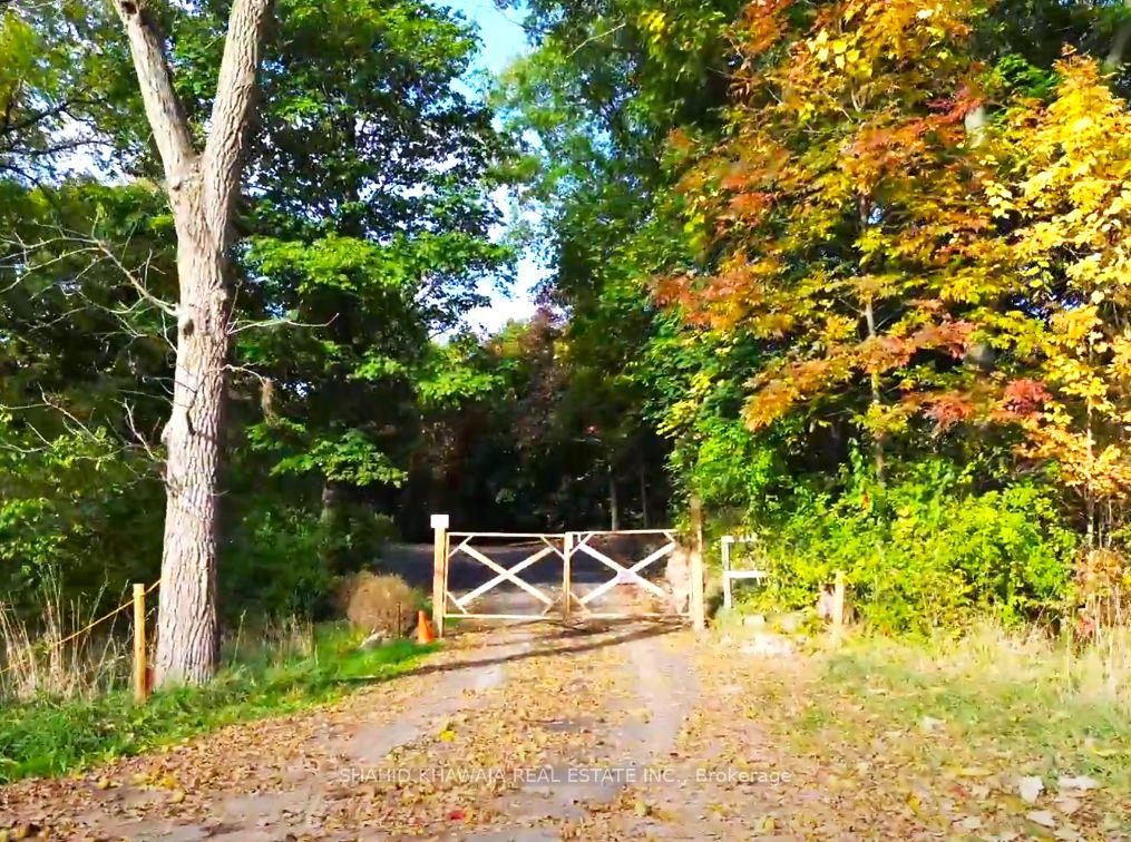 716 Artaban Road