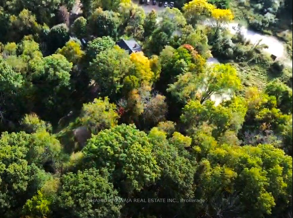 716 Artaban Road