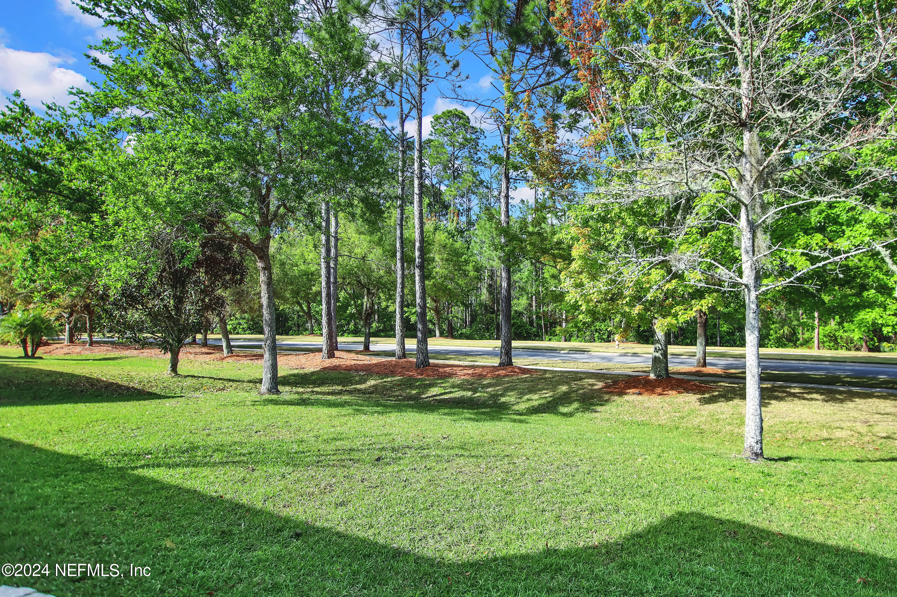 91 SABAL RIDGE TRAIL