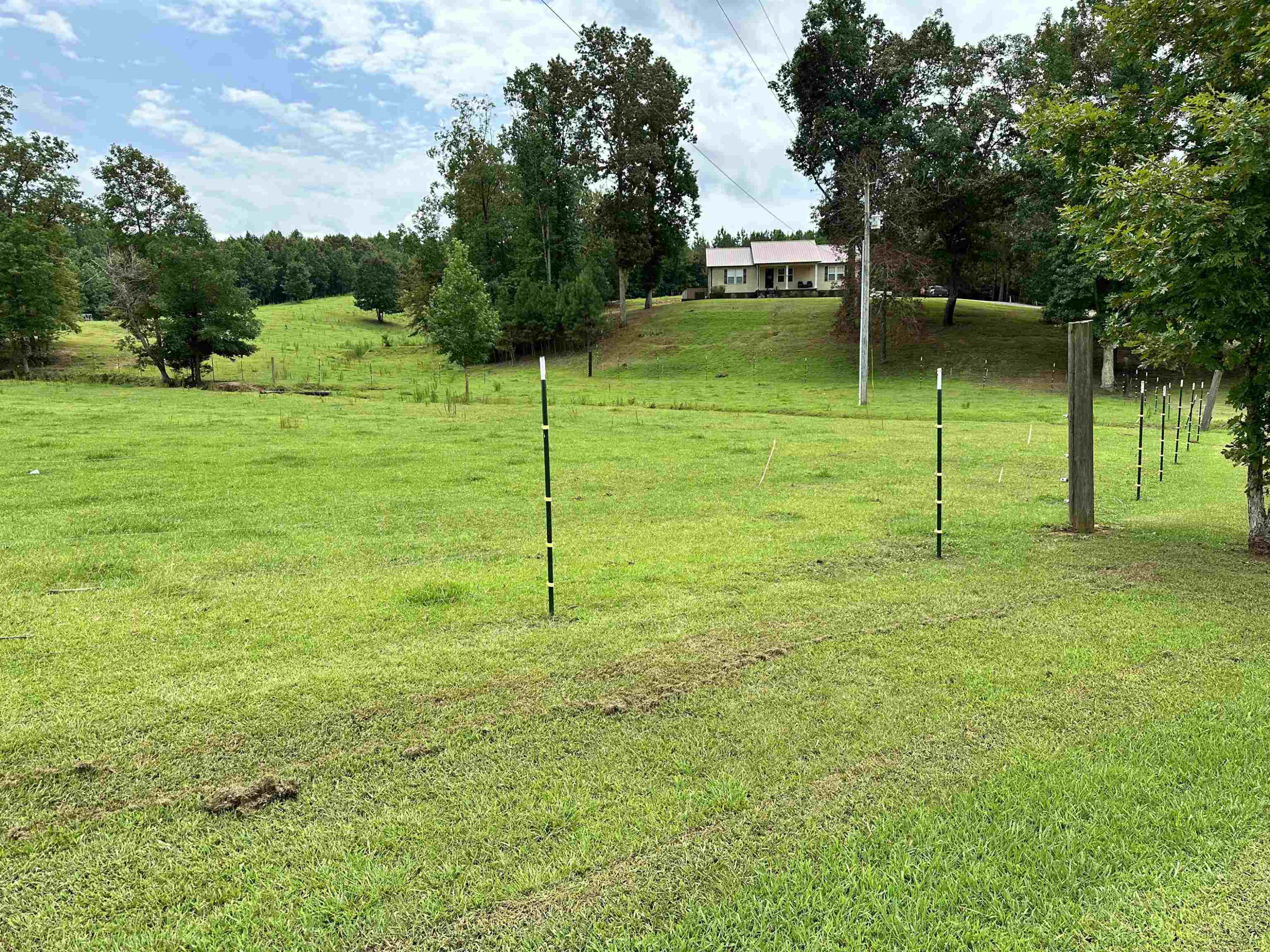 5295 Sunshine Rd.