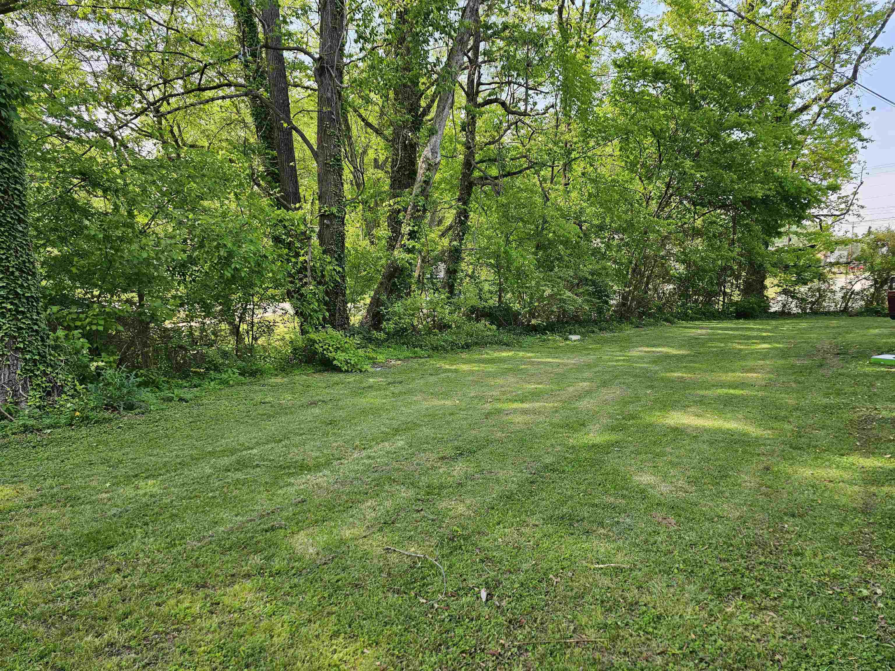 497 Henderson Road