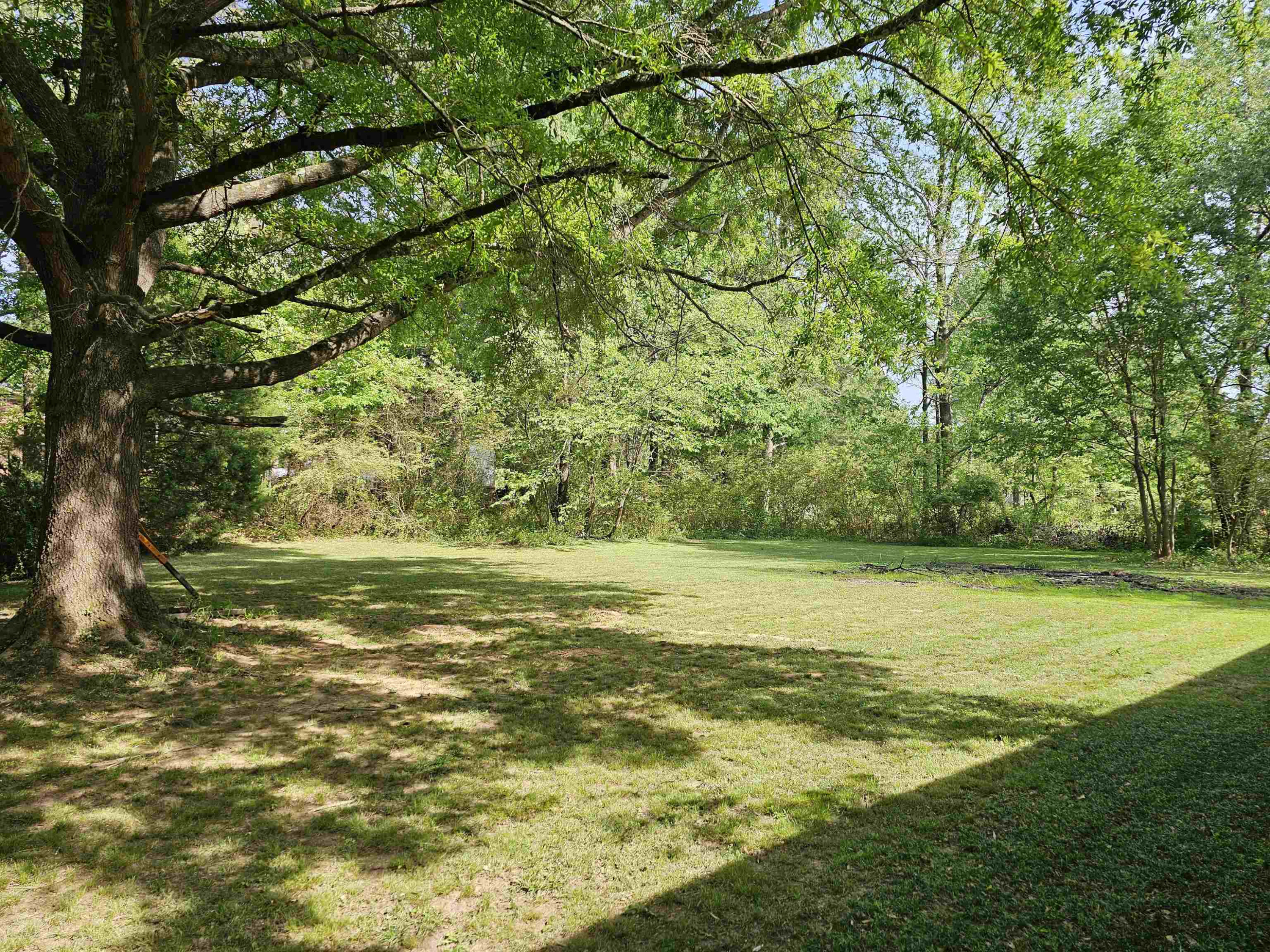 497 Henderson Road