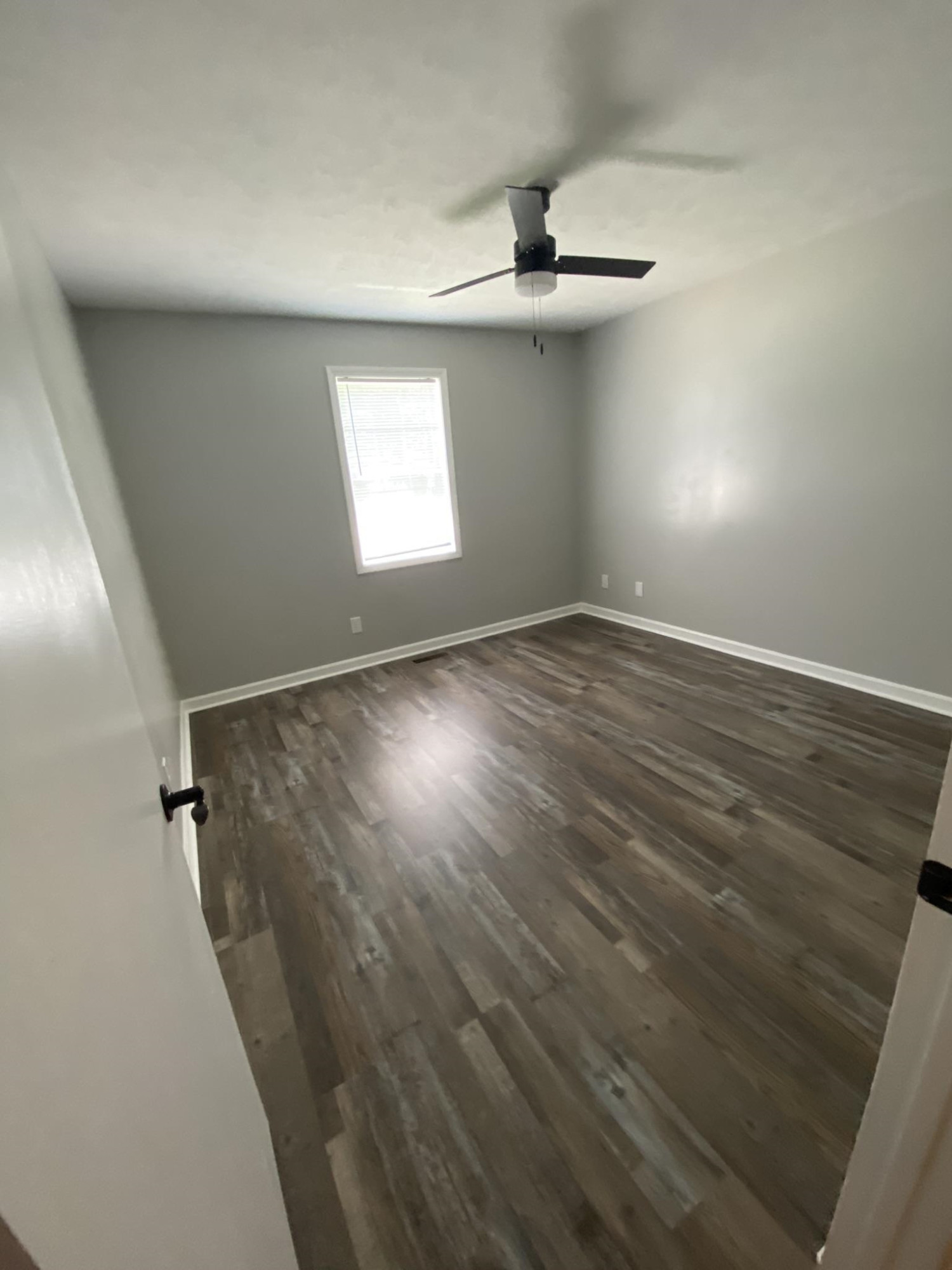380 Patterson Lane