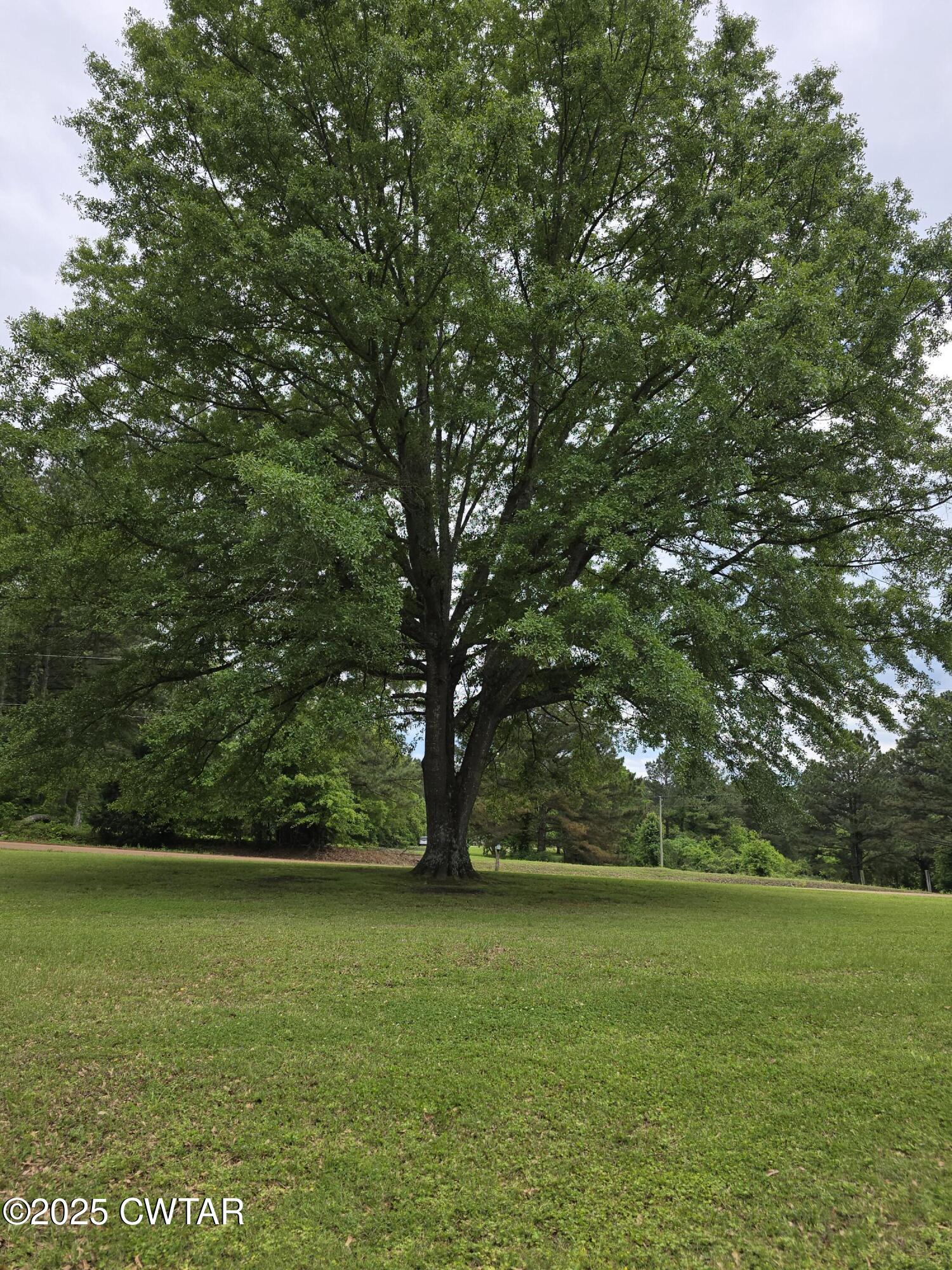 2345 Uptonville Road